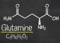 左旋麩醯胺酸是什麼？功效有哪些？一般人需要補充嗎？