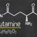 左旋麩醯胺酸是什麼？功效有哪些？一般人需要補充嗎？