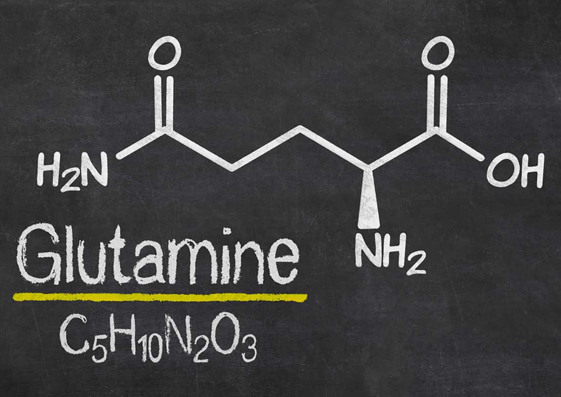 左旋麩醯胺酸是什麼？功效有哪些？一般人需要補充嗎？